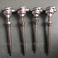 wzp赫(hè)斯曼溫(wēn)度傳感(gan)器